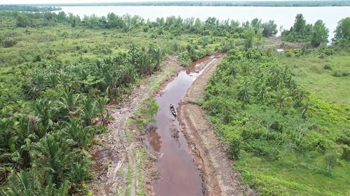 Menumbuhkan Kembali Hutan Yang Hilang