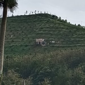 filter: 0; fileterIntensity: 0.0; filterMask: 0; hdrForward: 0; brp_mask:0;
brp_del_th:null;
brp_del_sen:null;
delta:null;
module: photo;hw-remosaic: false;touch: (-1.0, -1.0);sceneMode: 2;cct_value: 0;AI_Scene: (-1, -1);aec_lux: 0.0;aec_lux_index: 0;HdrStatus: auto;albedo:  ;confidence:  ;motionLevel: -1;weatherinfo: null;temperature: 33;